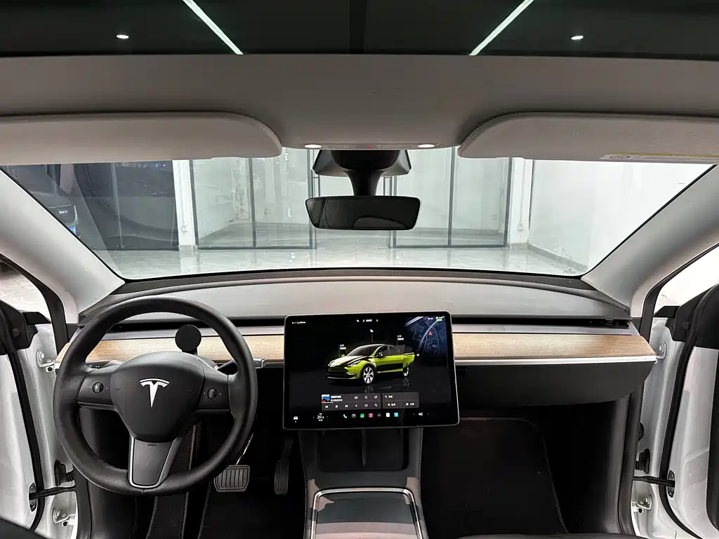 Tesla Model Y — миниатюра 6