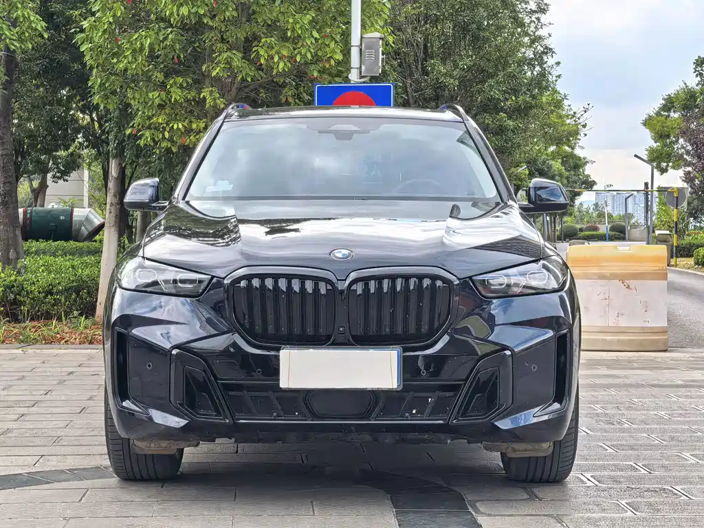 BMW X5 — миниатюра 2