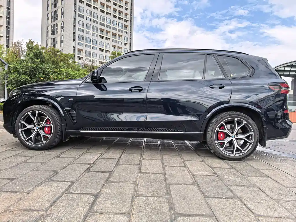 BMW X5 — миниатюра 26
