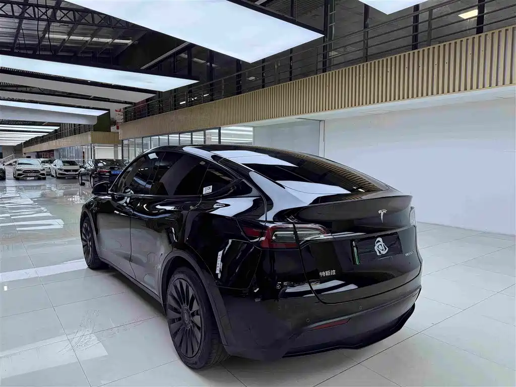 Tesla Model Y — миниатюра 7