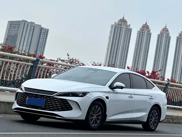 byd qin-l