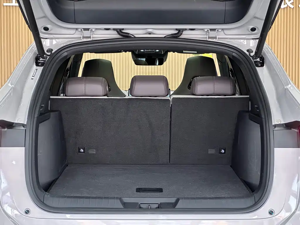 BYD SONGJIANG NEW ENERGY