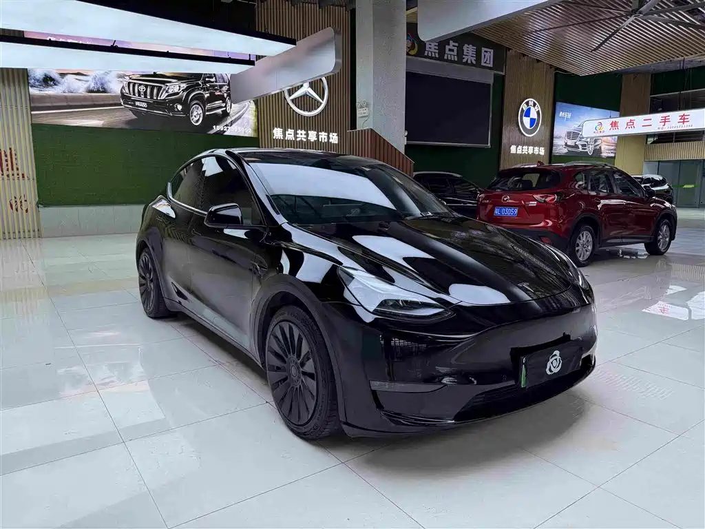 Tesla Model Y — миниатюра 3