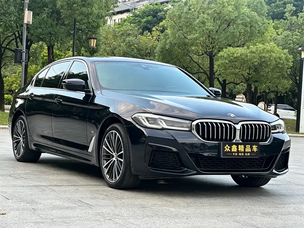 BMW 5 Series — миниатюра 3