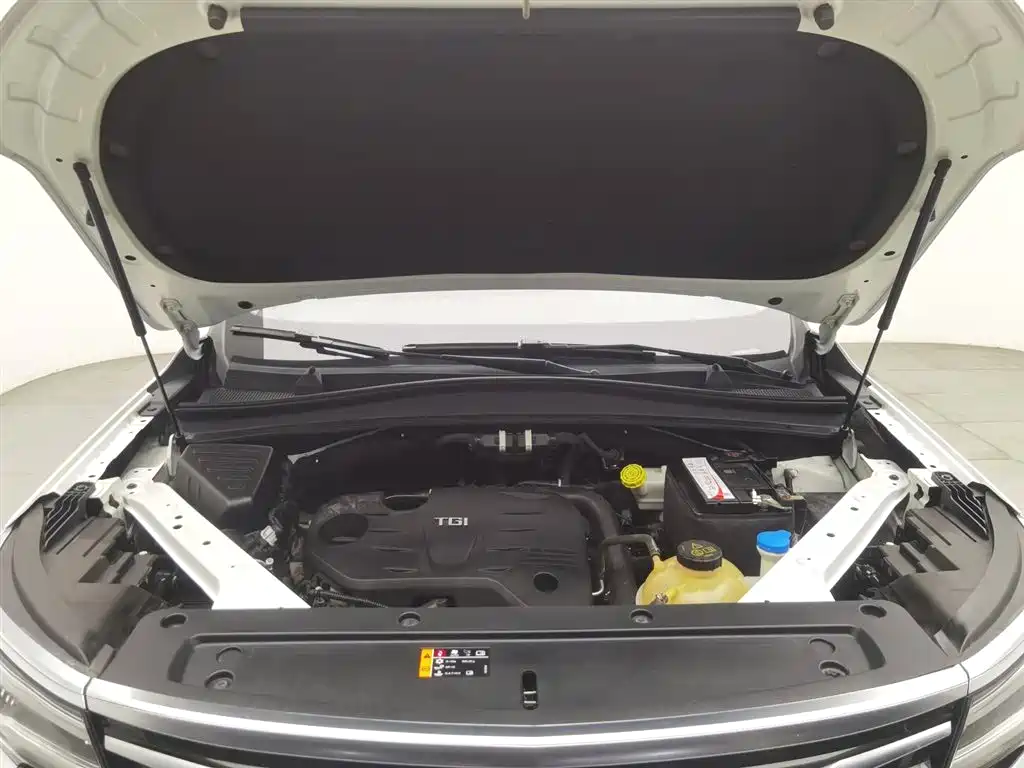 Roewe RX5 Max 2019 300TGI AT Luxury