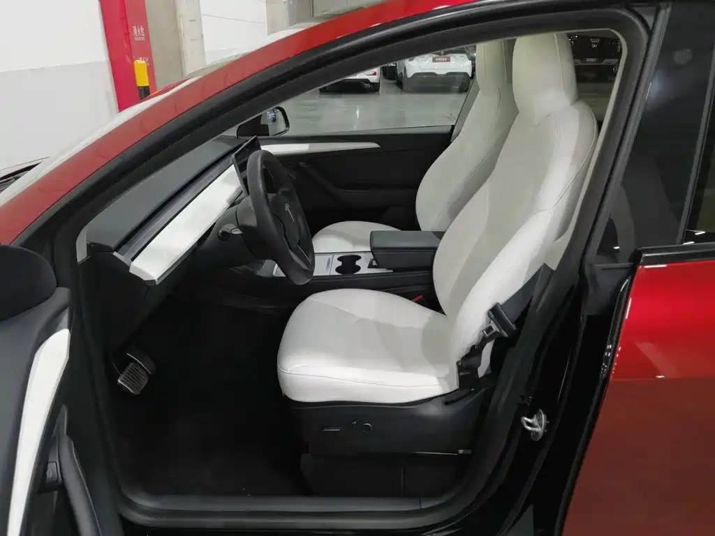 Tesla Model Y — миниатюра 10