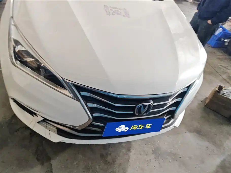 CHANGAN YIDONG DT