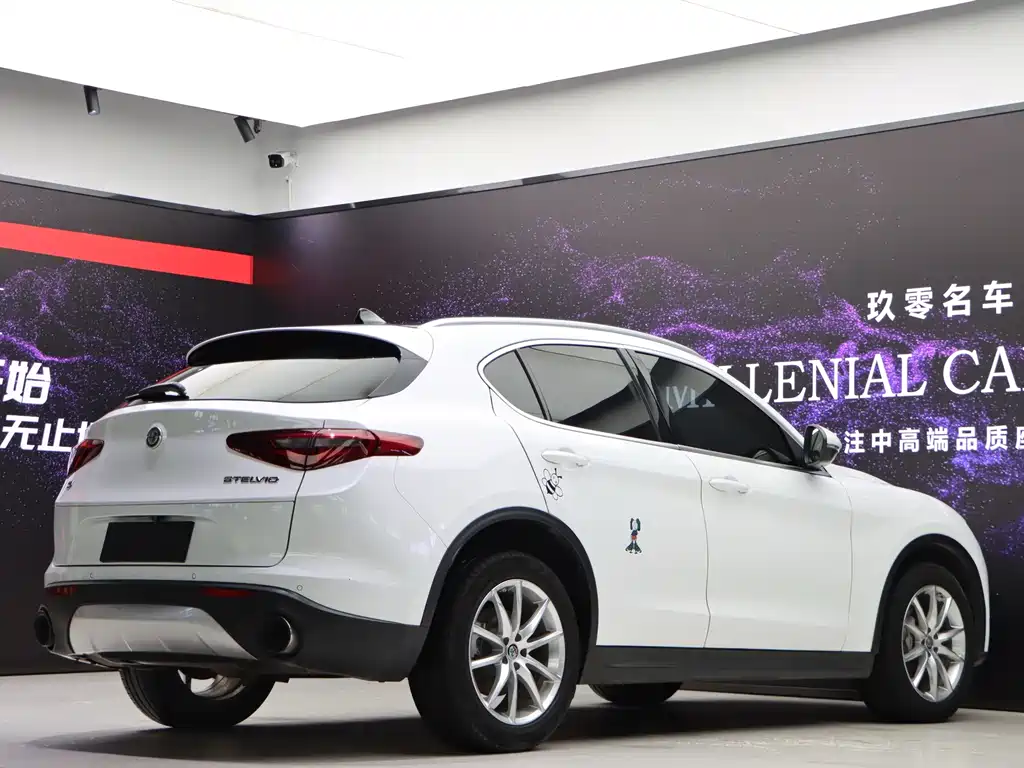 Alfa Romeo Stelvio 2.0T 280HP Luxury Edition, фото 6