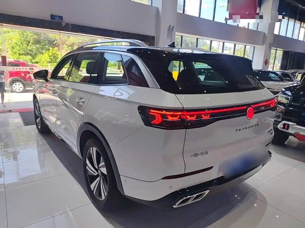 Volkswagen Tavendor — миниатюра 5