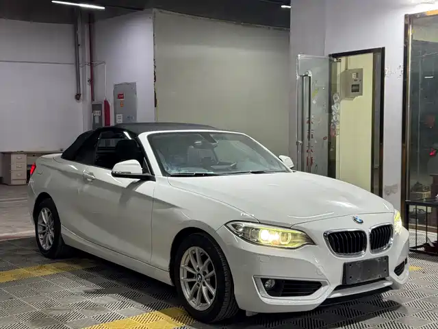 BMW 2 SERIES 2016