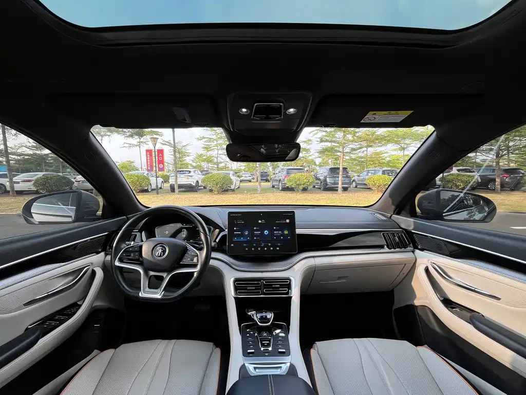 BYD PLUS New Energy — миниатюра 5