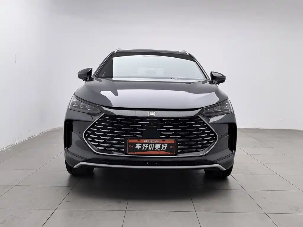 BYD Tang New Energy — миниатюра 3