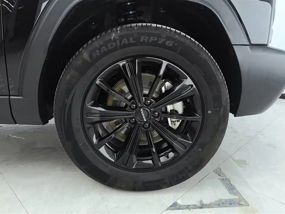 HAVAL RAPTORS NEW ENERGY