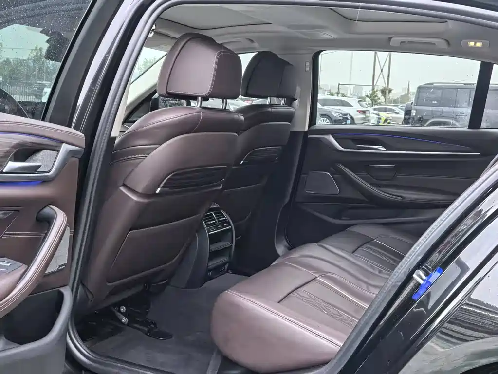 BMW 5 Series 5 2020 530Le