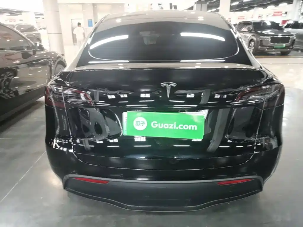 Tesla Model Y — миниатюра 6