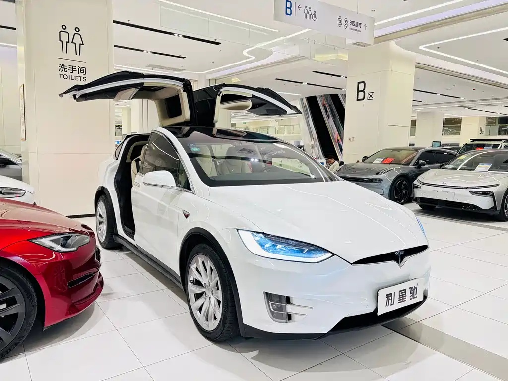 TESLA MODEL X