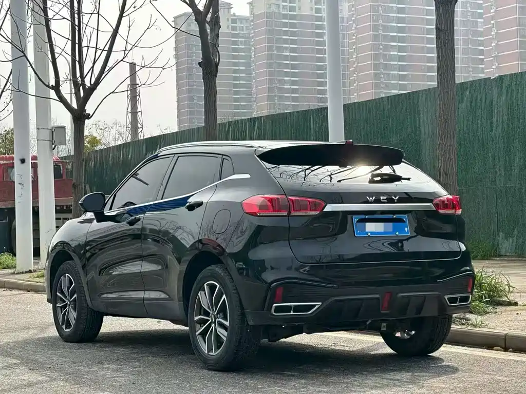 WEI PAI WEI BRAND VV5