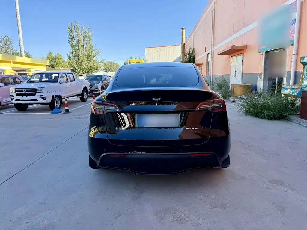 Tesla Model Y — миниатюра 6
