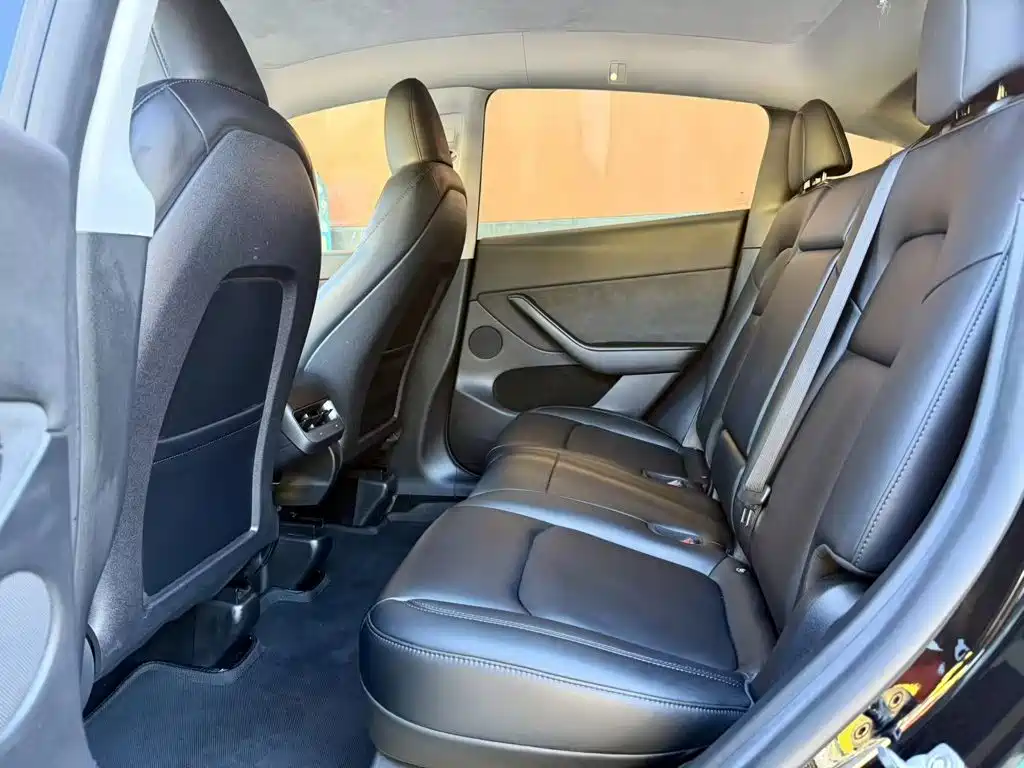 Tesla Model Y — миниатюра 10