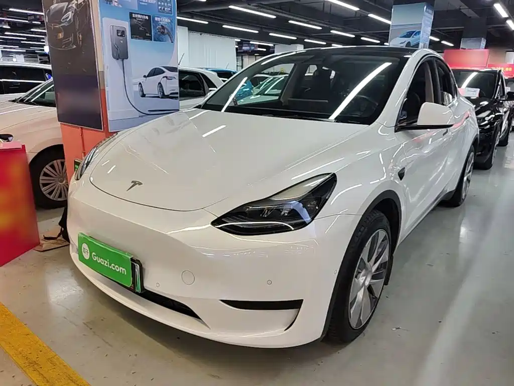 Tesla Model Y — миниатюра 2