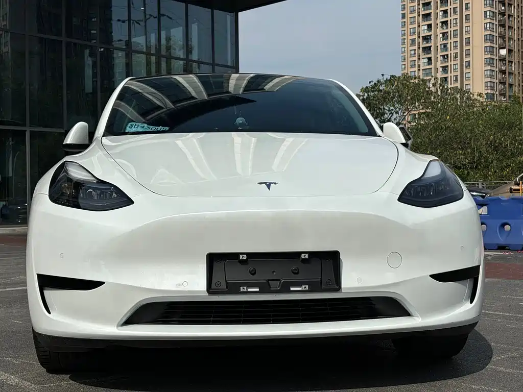 Tesla Model Y — миниатюра 2