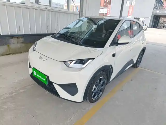 2025 BYD Seagull