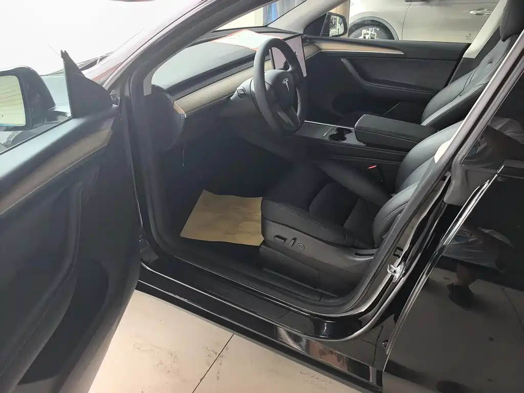 Tesla Model Y — миниатюра 5