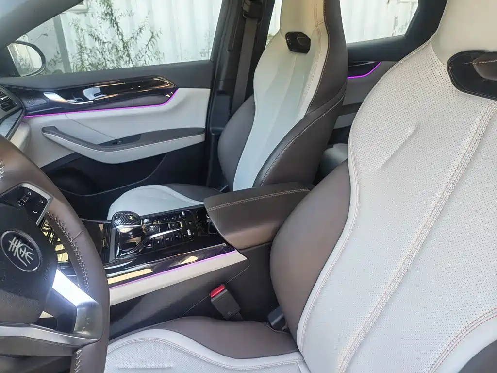 BYD Qin PLUS — миниатюра 10