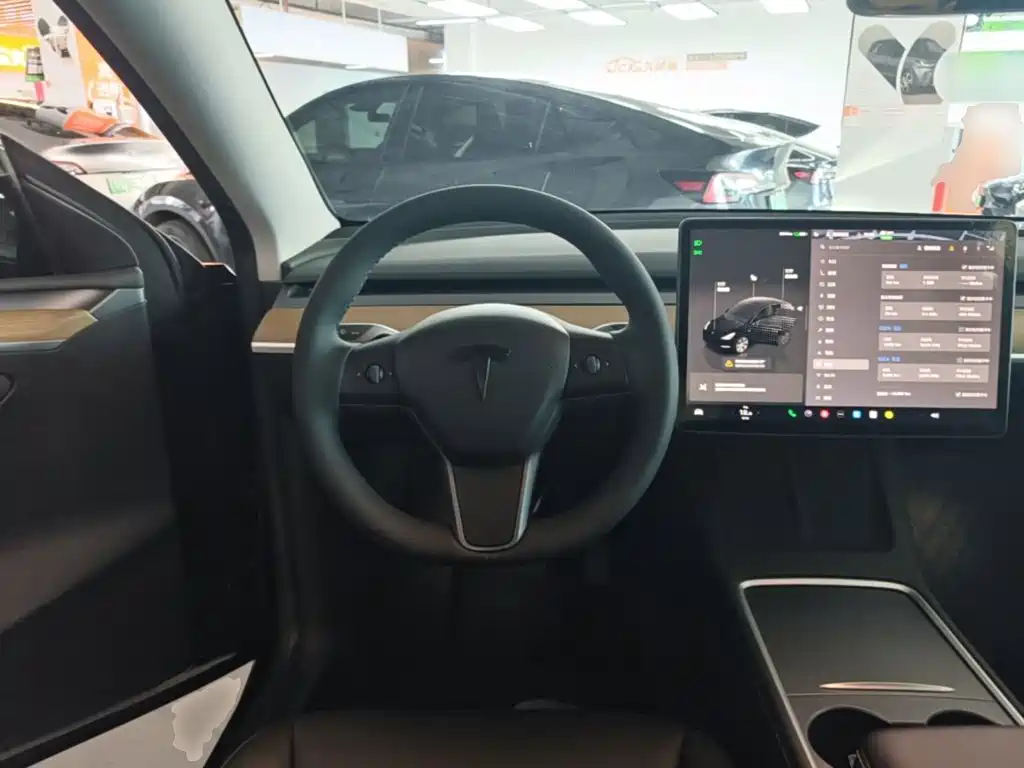Tesla Model Y — миниатюра 11