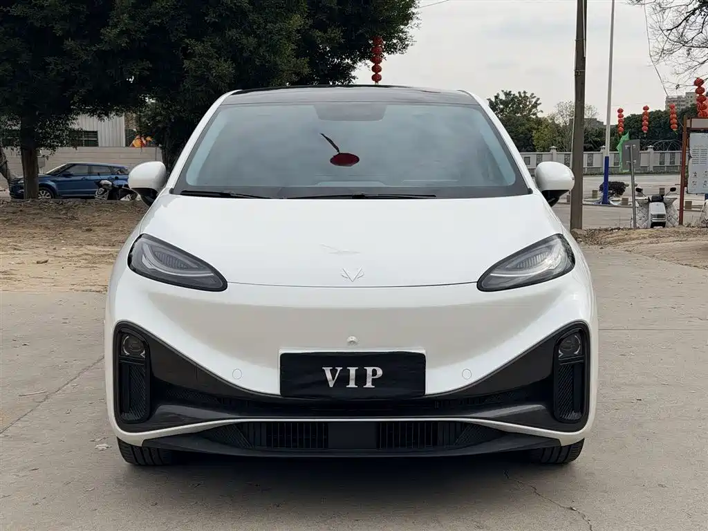 ARCFOX EXTREME FOX POLAR FOX KOALA S