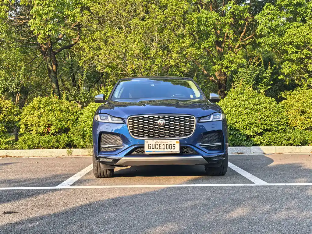 Jaguar F-PACE — миниатюра 3