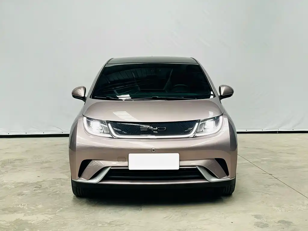 BYD Dolphin — миниатюра 2