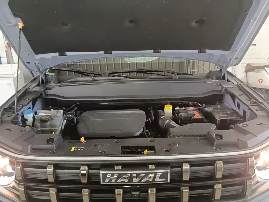 Haval Cool Dog — миниатюра 20