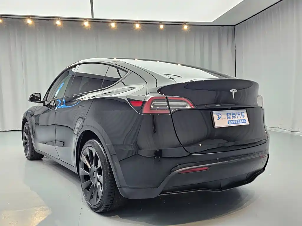 Tesla Model Y — миниатюра 9