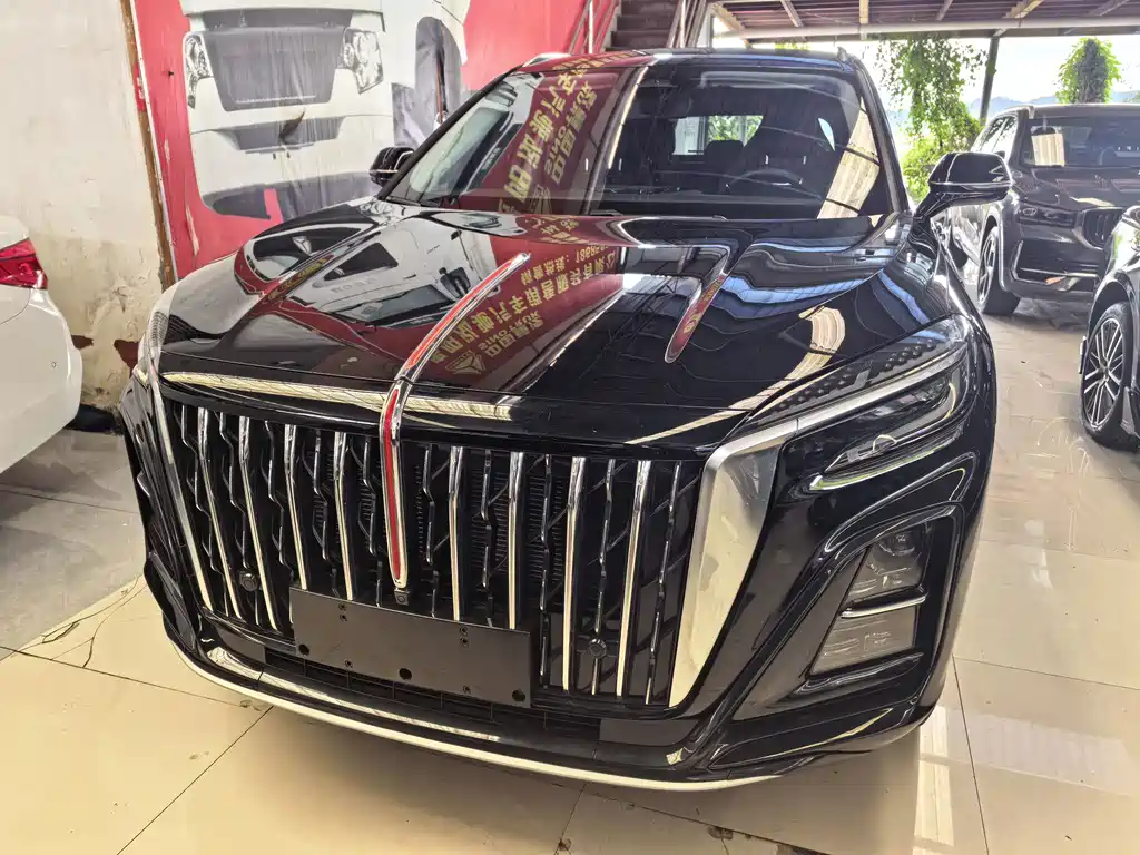 Hongqi Hongqi HS3 — миниатюра 2