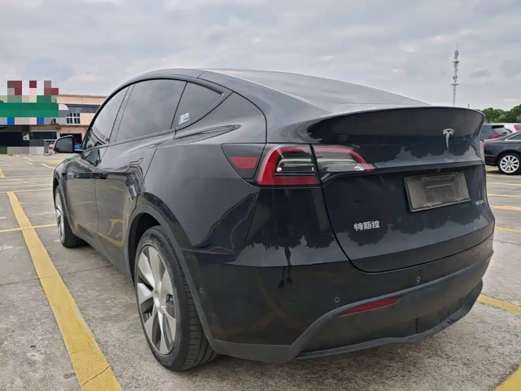 Tesla Model Y — миниатюра 5