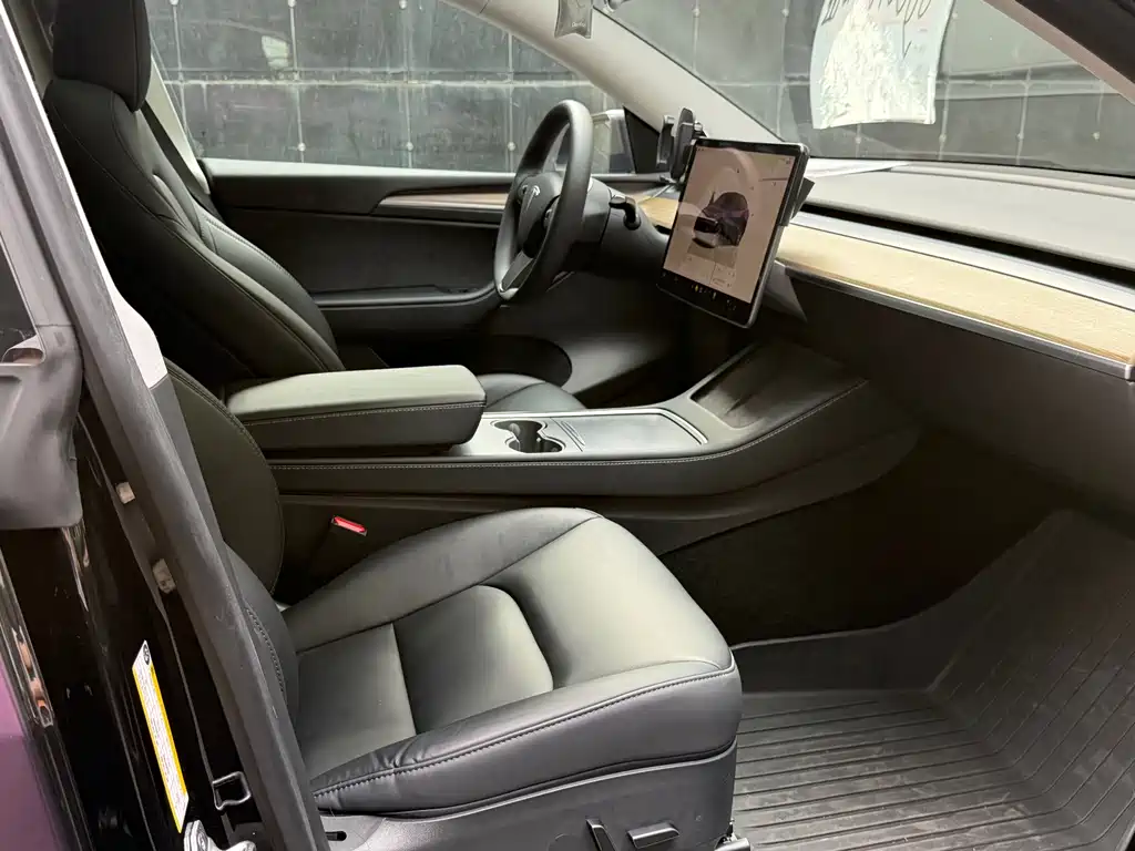Tesla Model Y — миниатюра 9