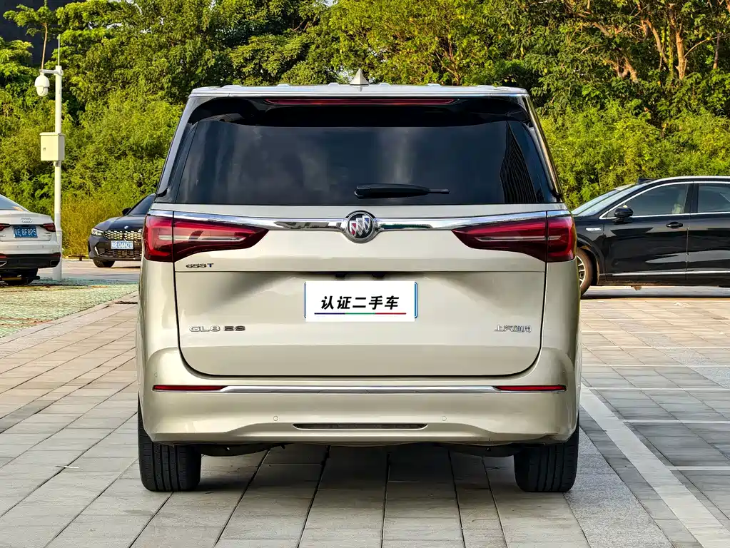 Buick GL8 — миниатюра 4
