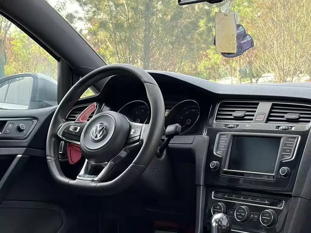 Volkswagen Golf GTI 2.0TSI GTI, фото 12