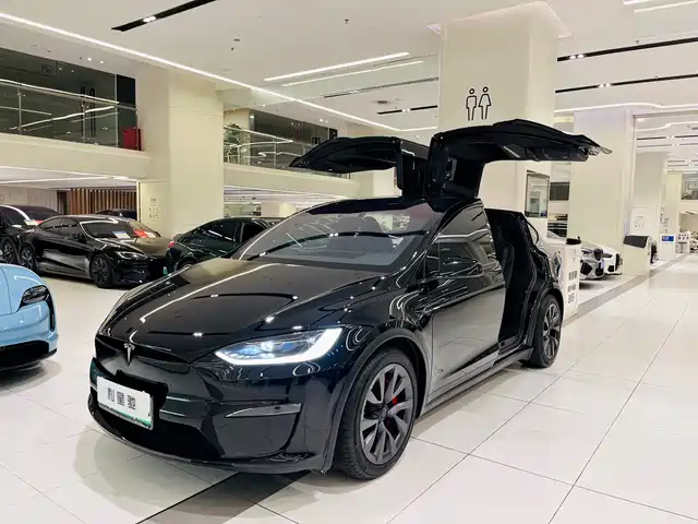TESLA MODEL X 2023