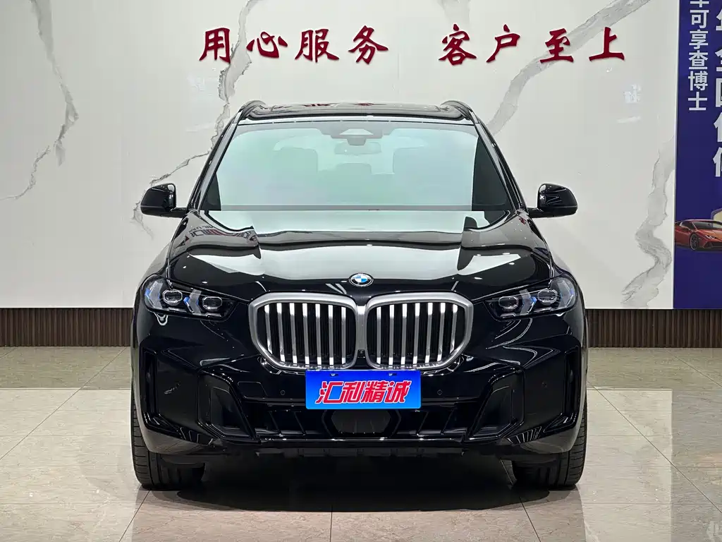 BMW X5 — миниатюра 2