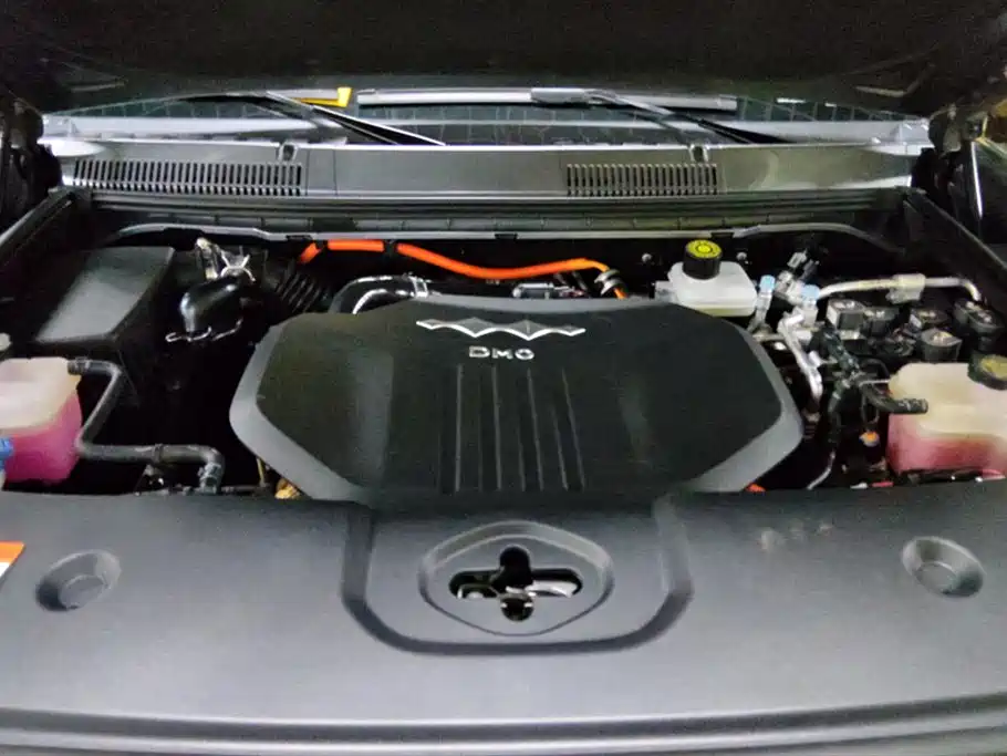 FANG CHENG BAO LEOPARD 5