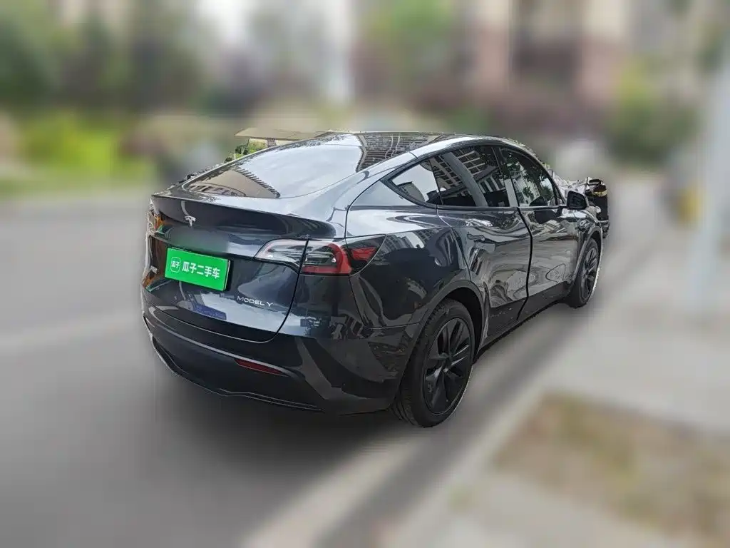 Tesla Model Y — миниатюра 4