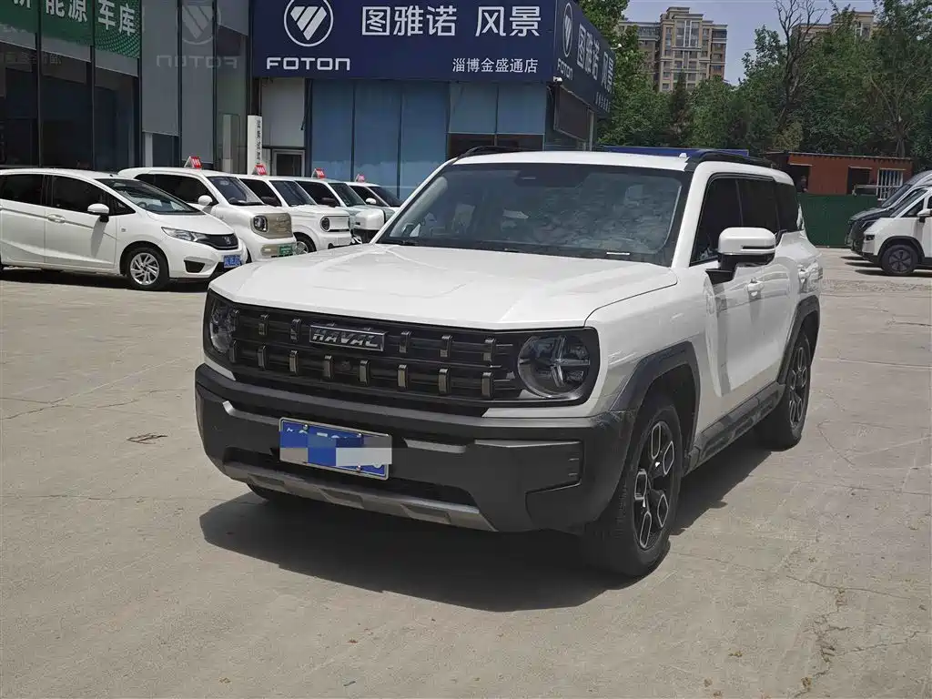 Купить Haval Cool Dog