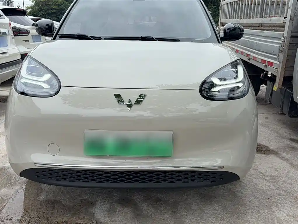 Wuling Binguo 2023 333km +