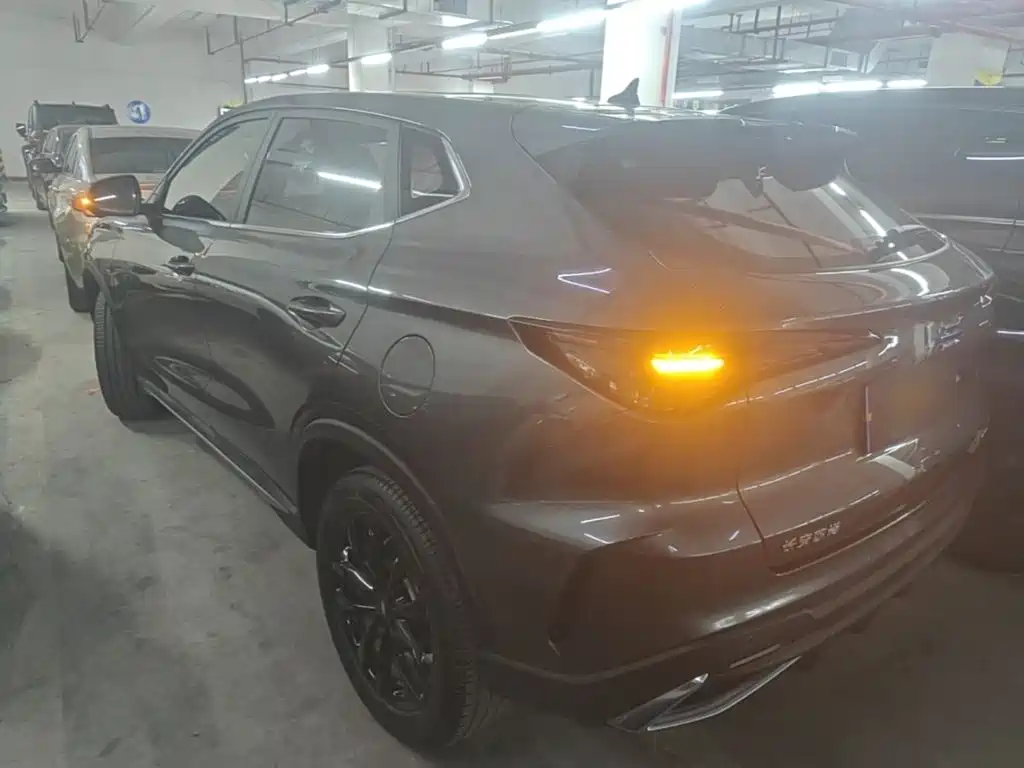 Oshan Oushang X5 PLUS — миниатюра 5