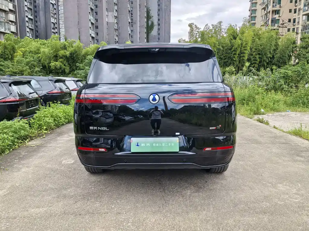 Denza Zoom N8L — миниатюра 7