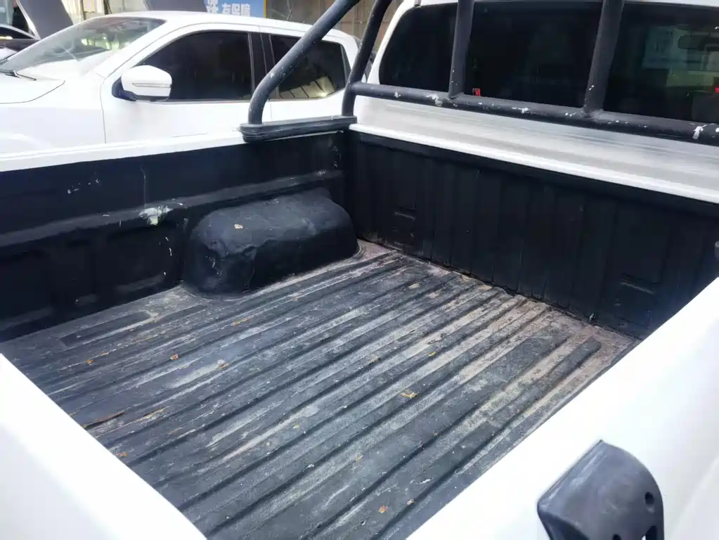 JIANGLING DOMAIN TIGER 3