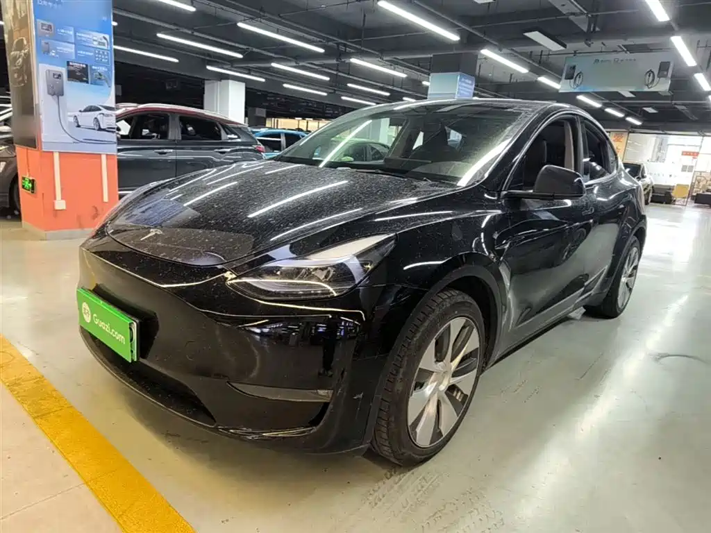 Tesla Model Y 2022 Long Range AWD Edition