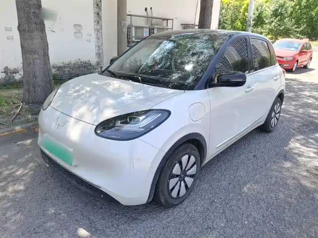 2025 Wuling Motors Binguo